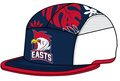 5 Panel Soft Peak Playing Cap (NEW) - Oztagger